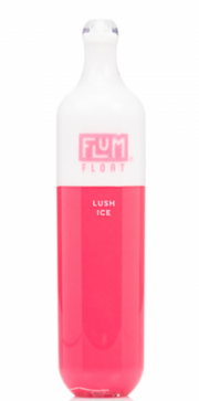 FLUM FLOAT | 3K PUFFS - Feelin Right Smoke Shop