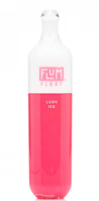 FLUM FLOAT | 3K PUFFS - Feelin Right Smoke Shop