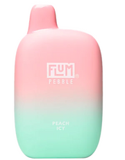 FLUM PEBBLE | 6K PUFFS - Feelin Right Smoke Shop
